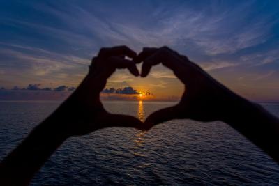 آوی نیچرز پارادایس