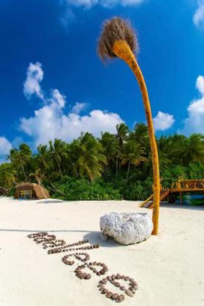 آوی نیچرز پارادایس