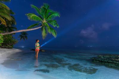 آوی نیچرز پارادایس