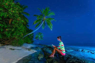 آوی نیچرز پارادایس