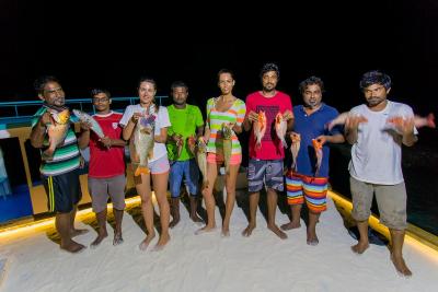 آوی نیچرز پارادایس