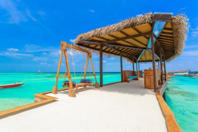 آوی نیچرز پارادایس