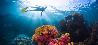 لوکس* نورث مال آتول