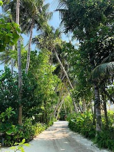 لوکس* نورث مال آتول