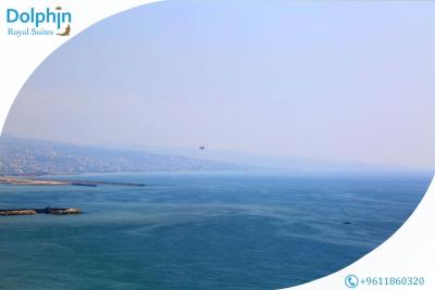 دلفین ریال سویتز