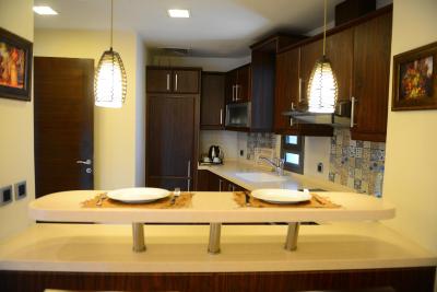 دلفین ریال سویتز