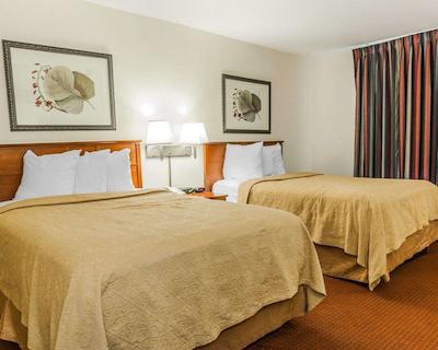 کوالیتی این ایست