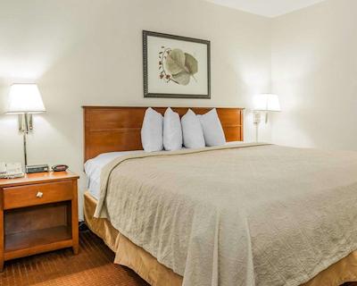 کوالیتی این ایست