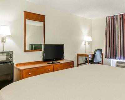 کوالیتی این ایست