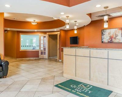 کوالیتی این ایست