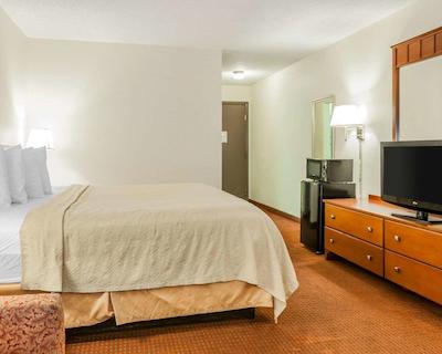 کوالیتی این ایست