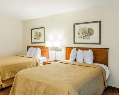 کوالیتی این ایست