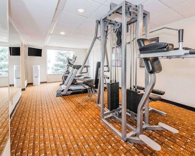 کوالیتی این ایست