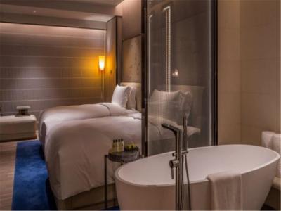 اینترکنتیننتال بیجینگ سانلیتون