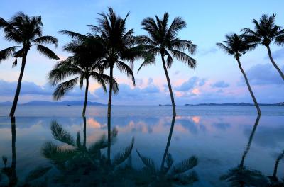 سلز بیچفرنت ریزرت