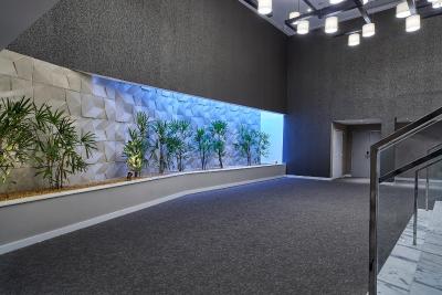 رادیسن بارا ریو د جانیرو