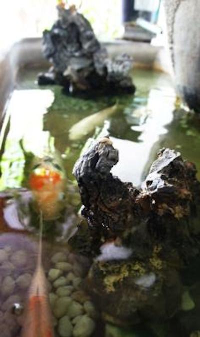 ای هاوس بوتیک گست هاوس بانکوک