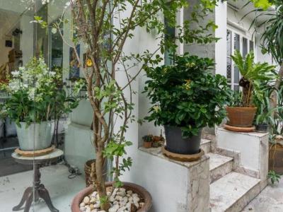 اورینتال اسمایل بد اند بریکفست