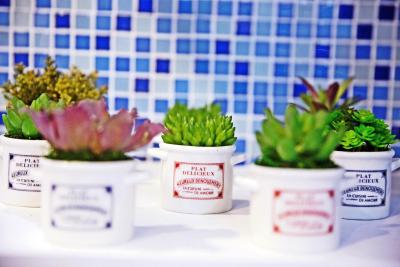 راد هوس میئونگدنگ