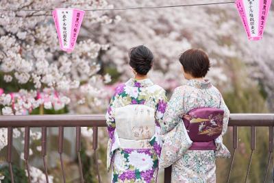 هتل گاجن تکیو