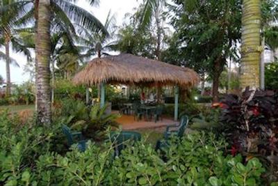 اوسترالیز کیرنز بیچ ریزرت