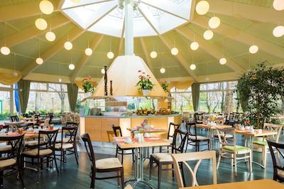 ام تراسنوفر