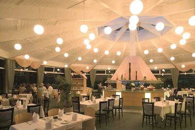 ام تراسنوفر