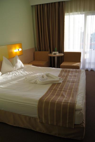 تپ کونتریلین زنید هتل کنفرنس اند اسپا