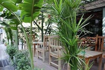 رویال آسیا لژ اند پارادایز