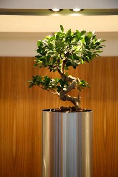 کرون پلازا لیل اورالیل