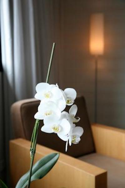 کرون پلازا لیل اورالیل