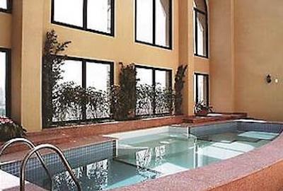 اینترسیتی پرمیوم برینی