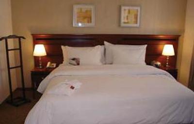 اینترسیتی پرمیوم برینی