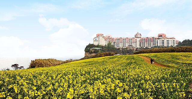 دامیونگ ریزرت بایئونسان