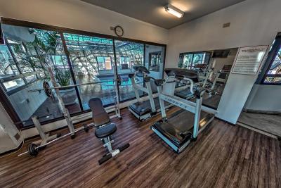 ماسیز فیو استارز