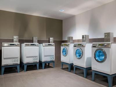 المنت امستردام