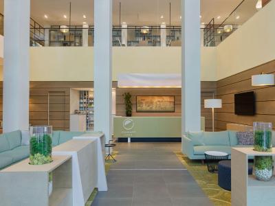 المنت امستردام