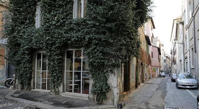 مادنا د منتی سویتز