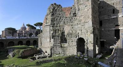 مادنا د منتی سویتز