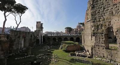 مادنا د منتی سویتز