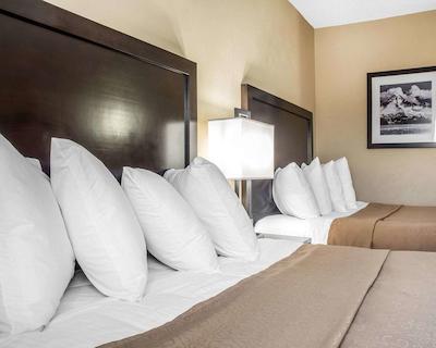 کوالیتی این باری