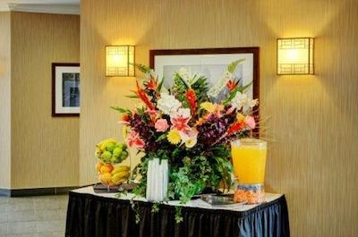 لاکویو سیناتور این کالگاری آیرپرت