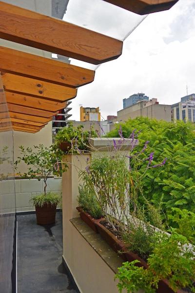 وایندهام گاردن مکسیکو سیتی رفرما