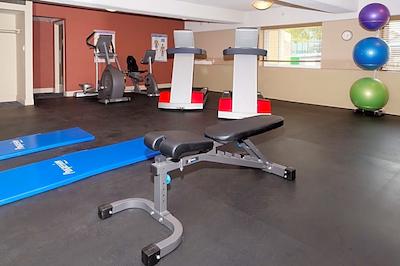 ساندمان سیناتور لدبریج لج