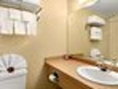 رامادا این اند واتر پارک ادمنتون اسود