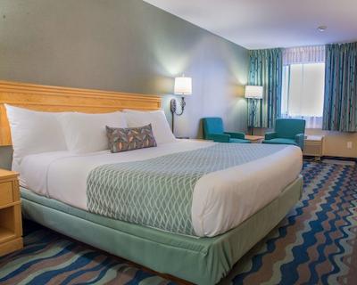 اکسنت این کاملوپز