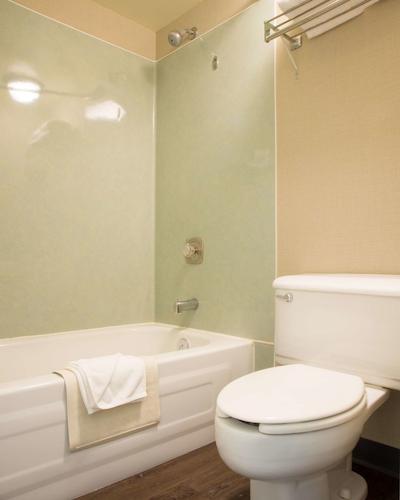 اکسنت این کاملوپز