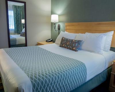 اکسنت این کاملوپز