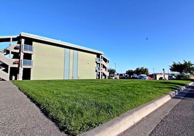 اکسنت این کاملوپز