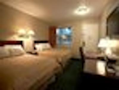 دز این بای ویندهام لدبریج